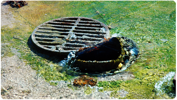 SEPTIC TANK INSPECTION